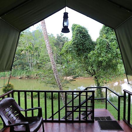 360 Rainforest Deniyaya Esterno foto