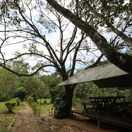 360 Rainforest Deniyaya Esterno foto
