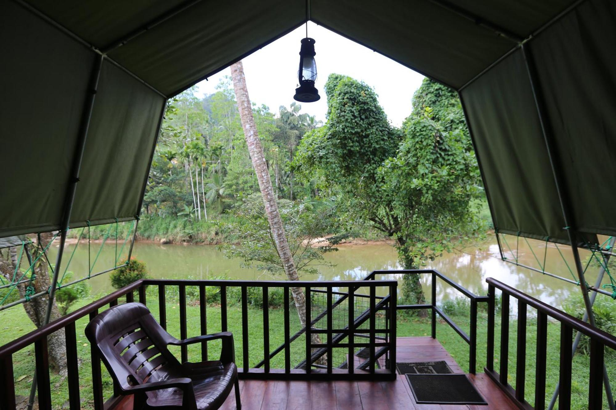 360 Rainforest Deniyaya Esterno foto