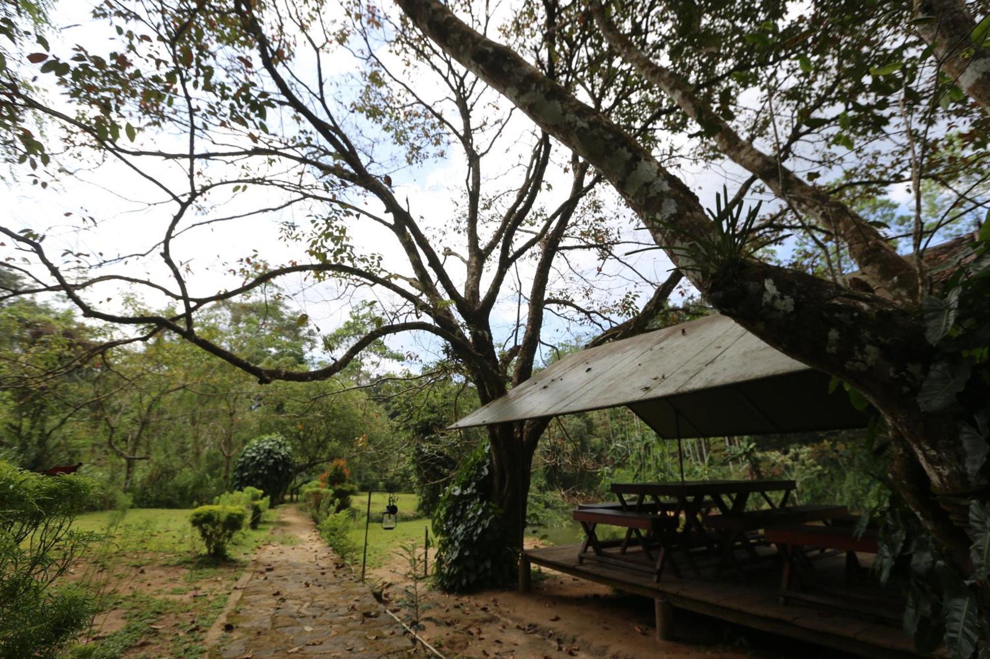 360 Rainforest Deniyaya Esterno foto