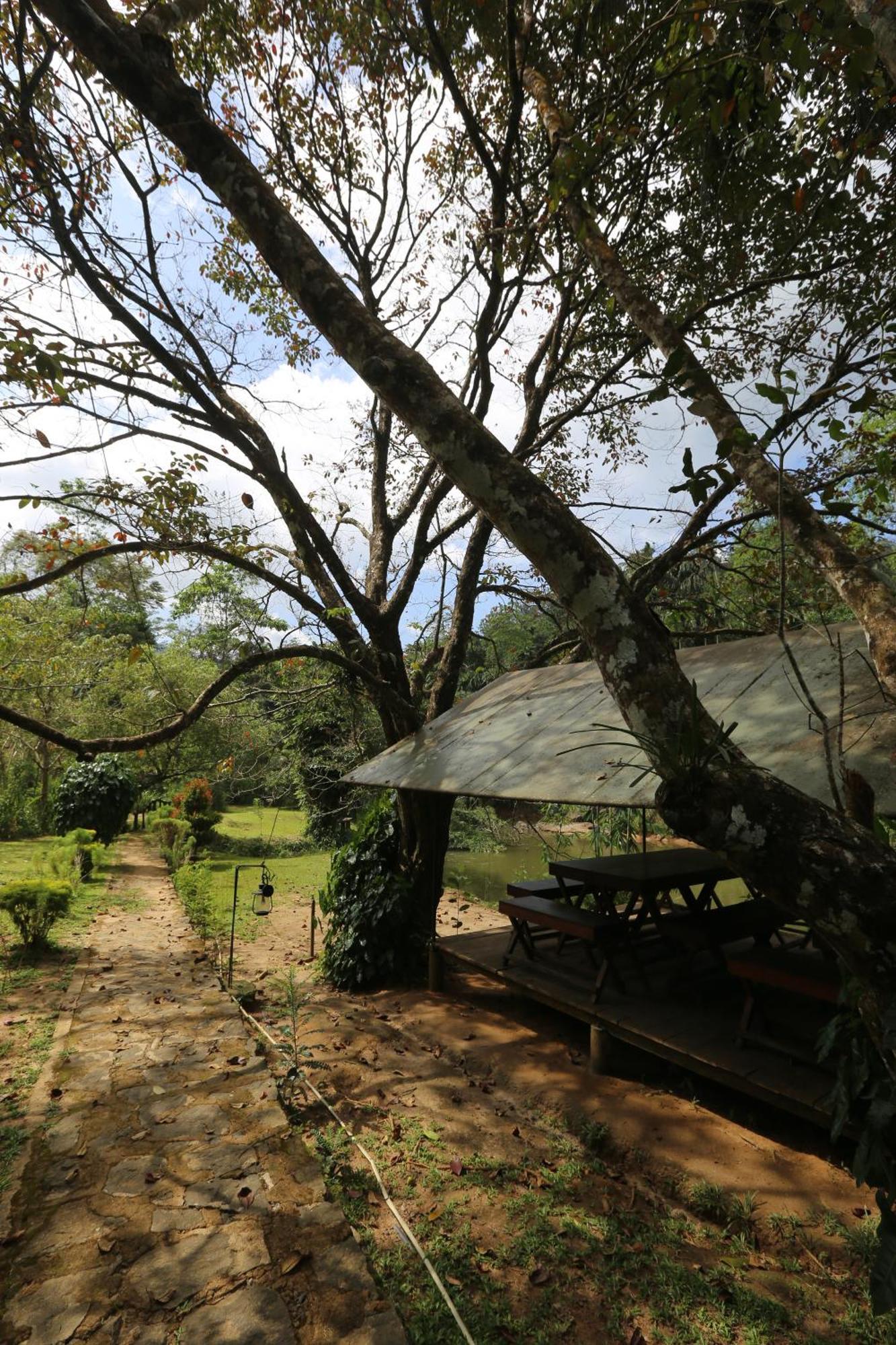 360 Rainforest Deniyaya Esterno foto