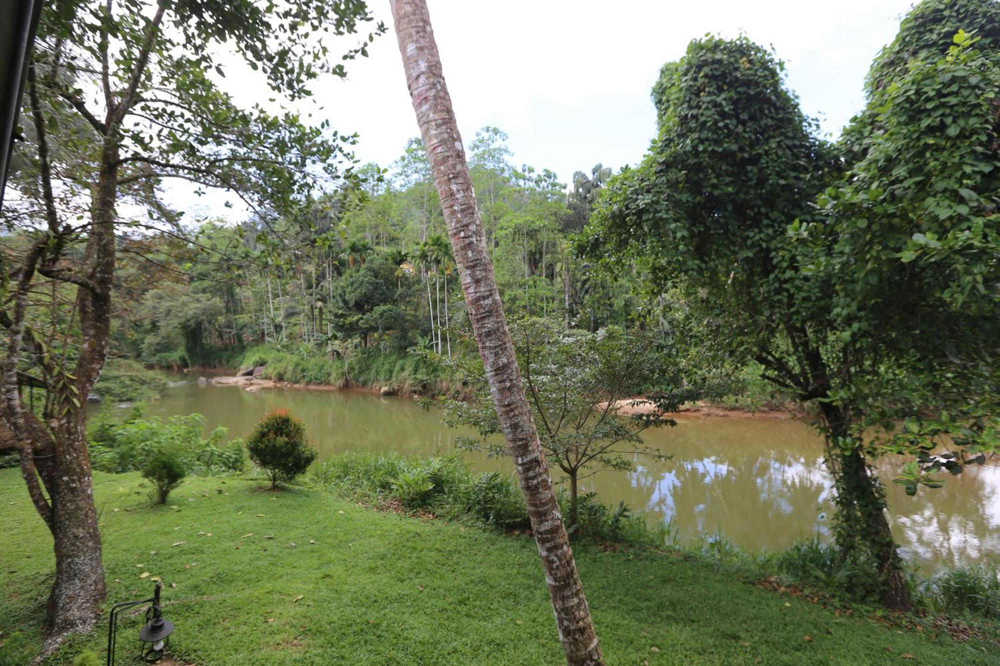 360 Rainforest Deniyaya Esterno foto