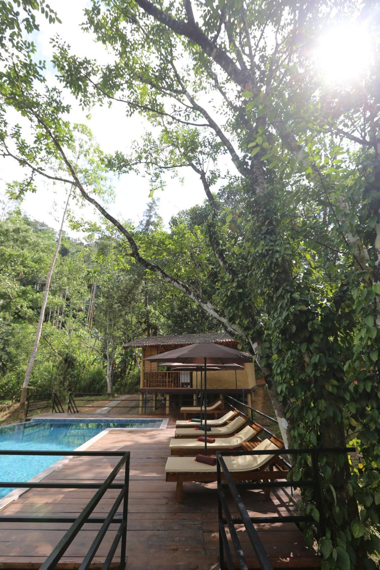 360 Rainforest Deniyaya Esterno foto