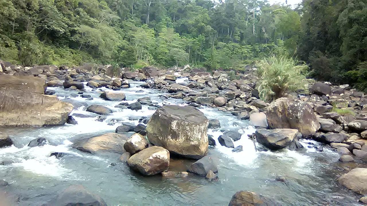 360 Rainforest Deniyaya Esterno foto