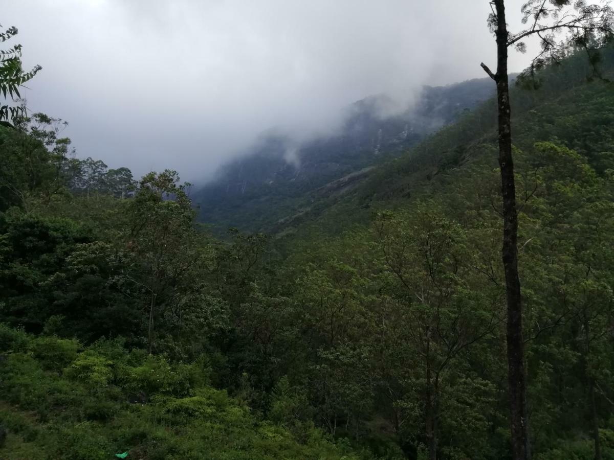 360 Rainforest Deniyaya Esterno foto