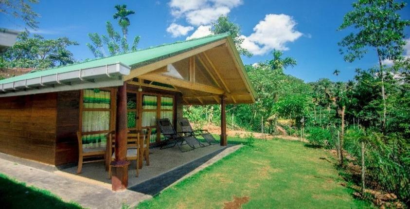 360 Rainforest Deniyaya Esterno foto