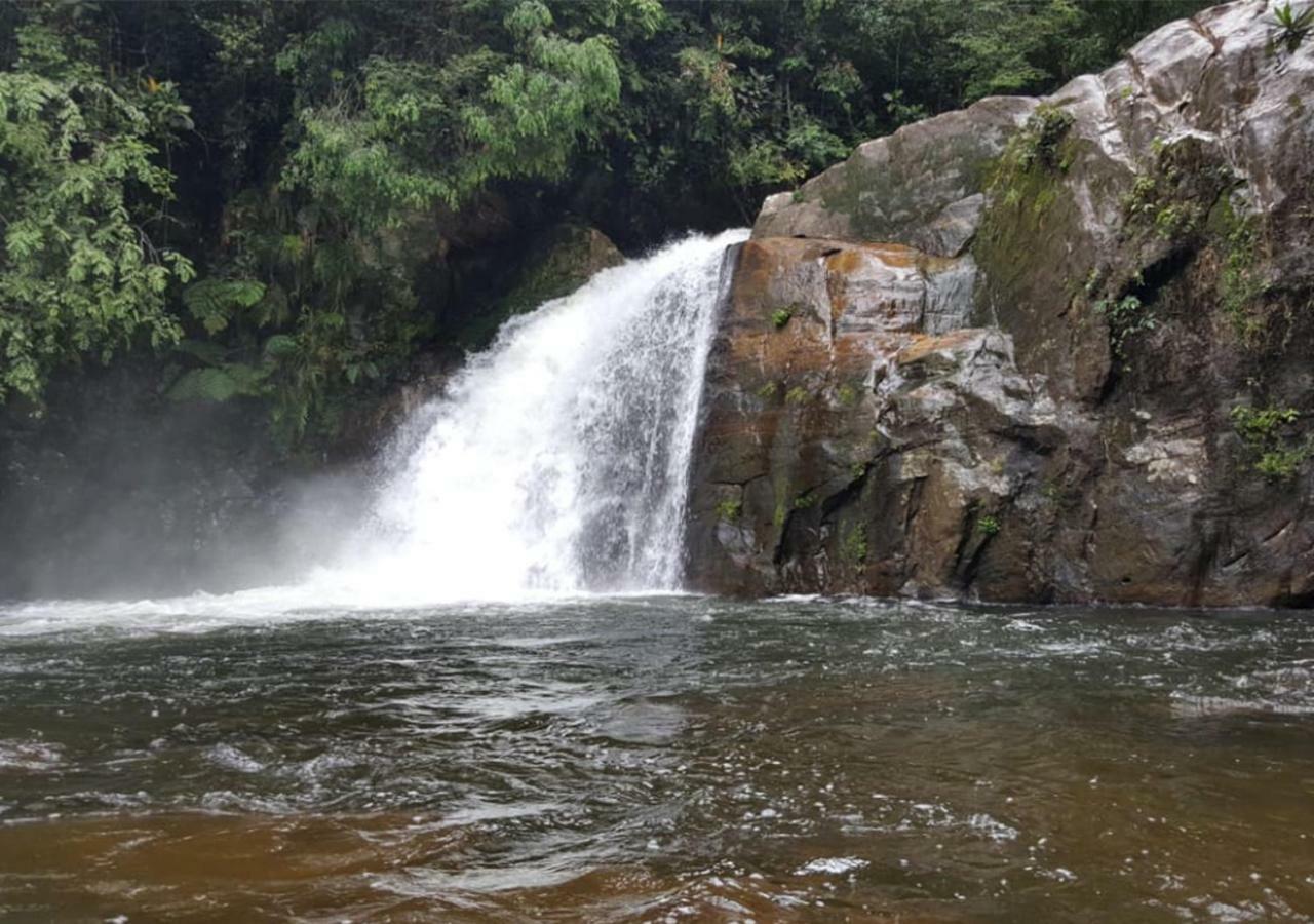 360 Rainforest Deniyaya Esterno foto