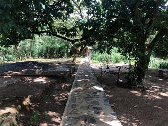 360 Rainforest Deniyaya Esterno foto