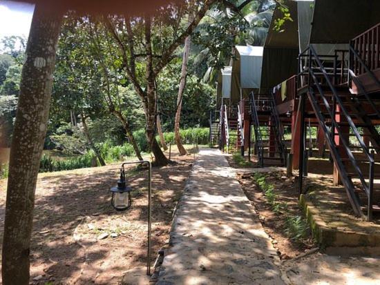 360 Rainforest Deniyaya Esterno foto