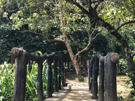 360 Rainforest Deniyaya Esterno foto