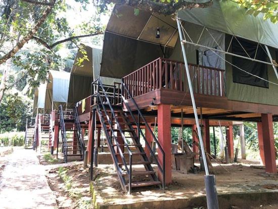 360 Rainforest Deniyaya Esterno foto