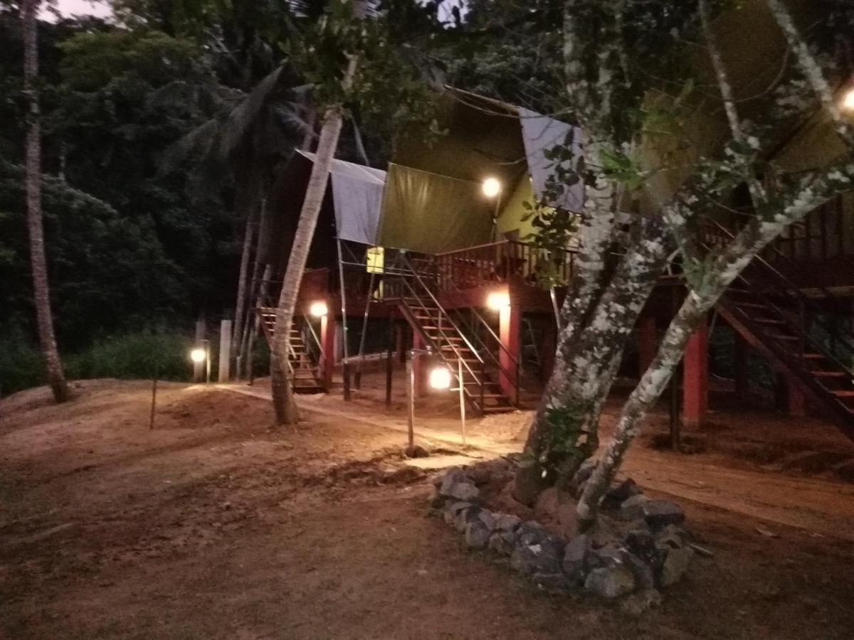 360 Rainforest Deniyaya Esterno foto